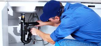 Best Trenchless Pipe Repair  in Raoul, GA